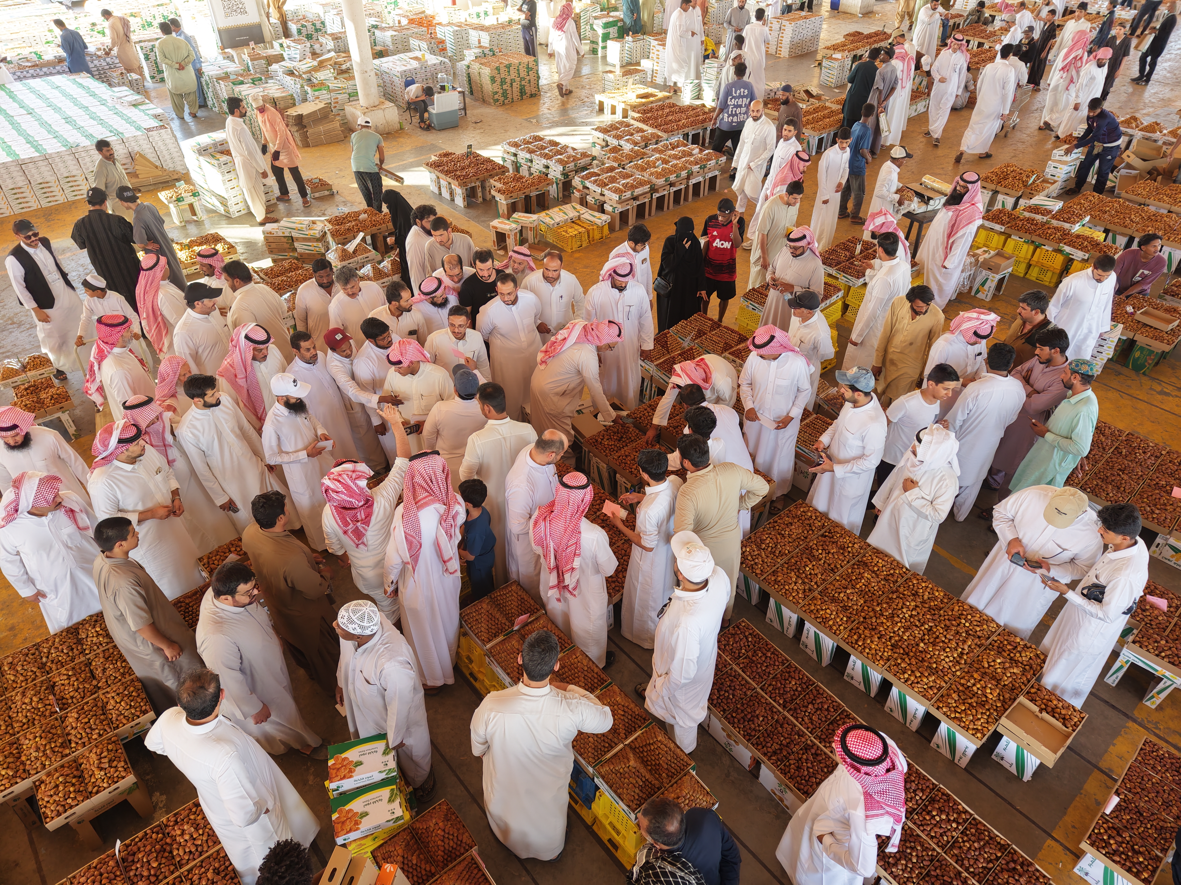 سوق التمور الموسمي في البدائع 