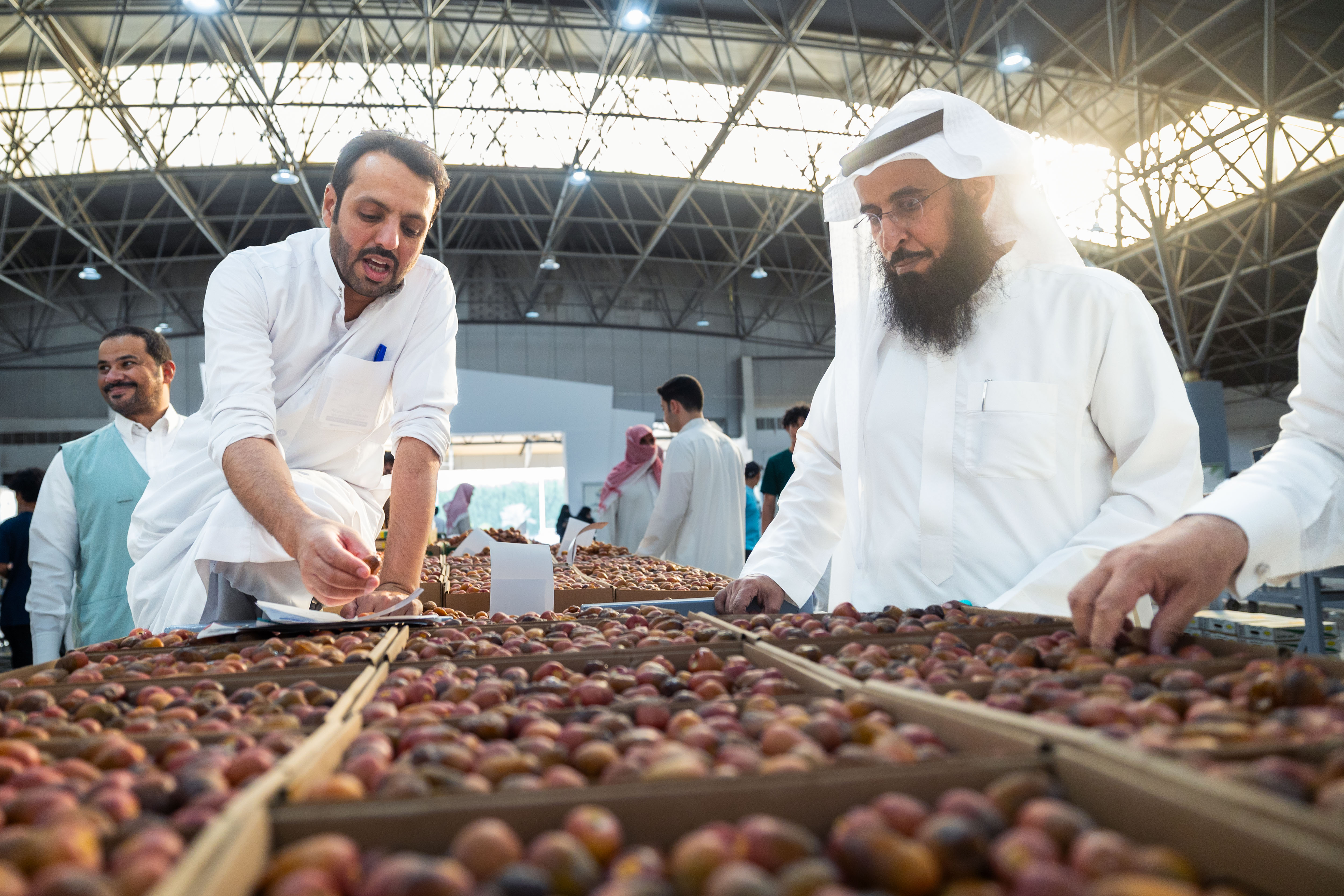 سوق التمور الموسمي في المذنب (موسم سكرية المذنب الحمراء)