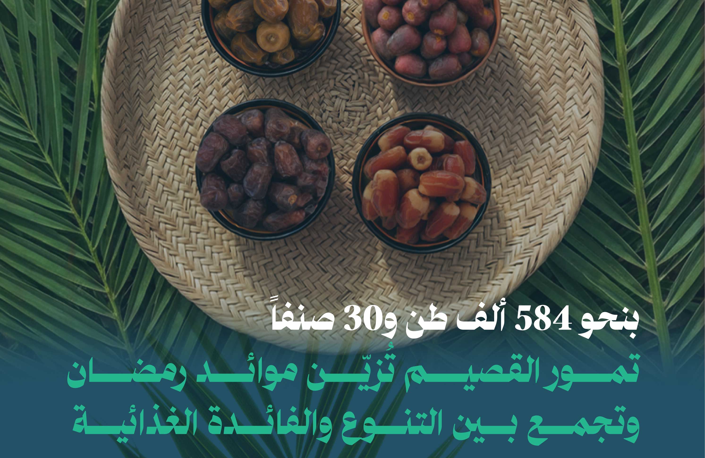 بنحو 584 ألف طن و30 صنفاً تمور القصيم تُزيّن موائد رمضان وتجمع بين التنوع والفائدة الغذائية