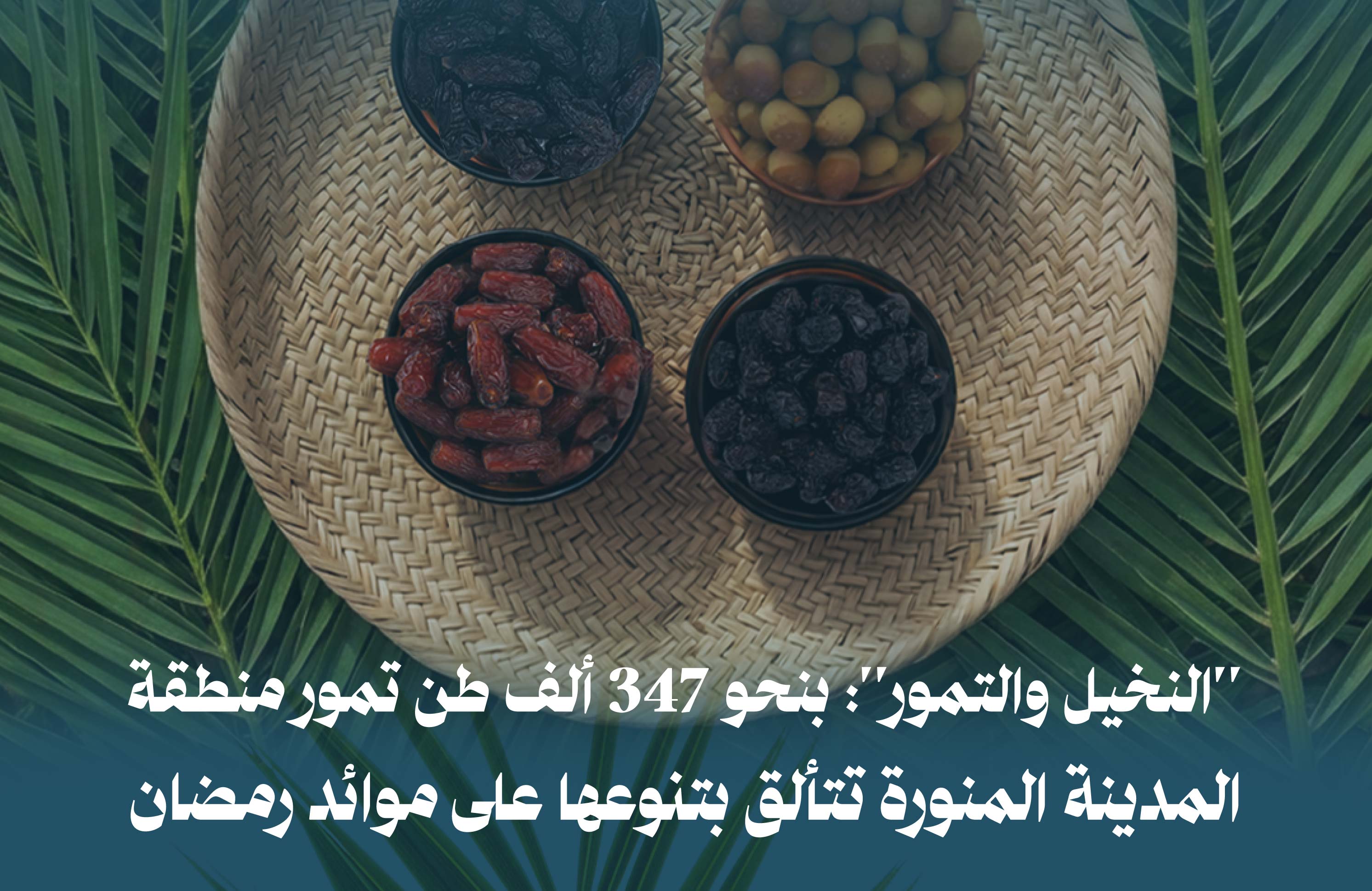 بنحو 347 ألف طن تمور منطقة المدينة المنورة تتألق بتنوعها على موائد رمضان