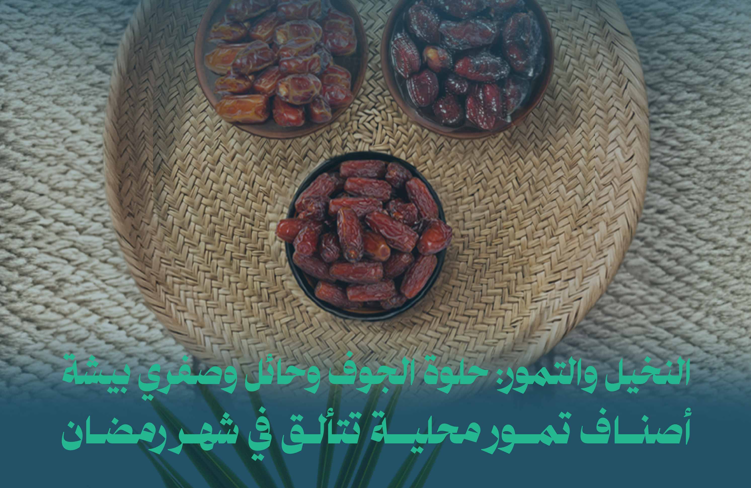 حلوة الجوف وحائل وصفري بيشة.. أصناف تمور محلية تتألـق في شهـر رمضان