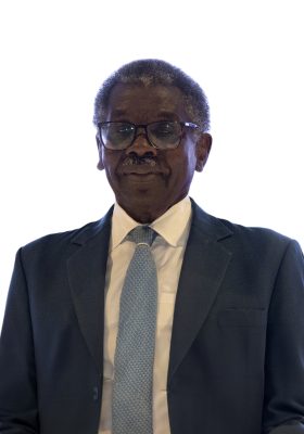 د. حسن علي دينار
